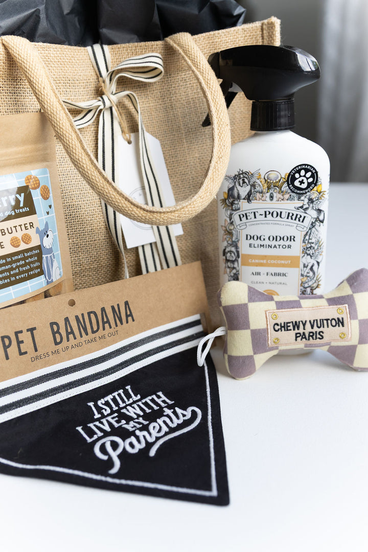 Close-up of small/mini Chewy Vuiton bone, Pet-pourri spray, and bandana for dogs, part of the Basic Doggy Bag gift set