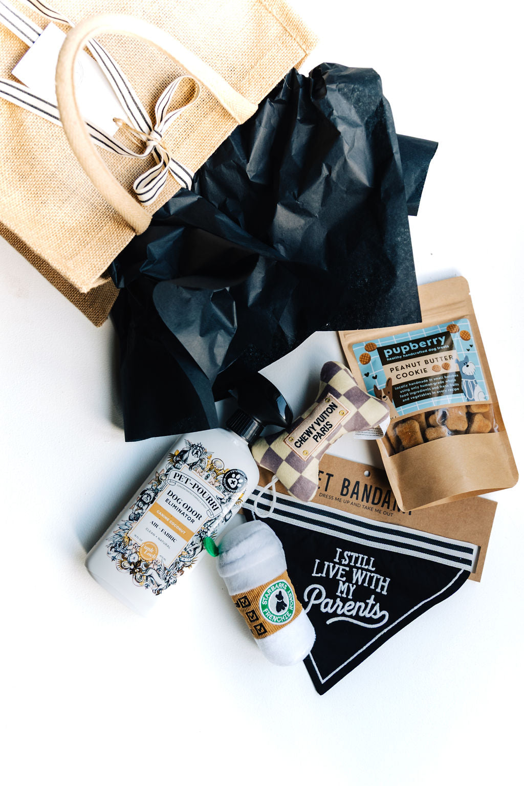 Flat lay of premium dog gift set with toys, treats, and accessories