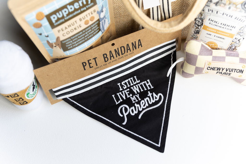 Basic Doggy Bag